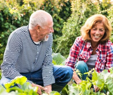 Two older adults sit outside in a garden, smiling and discussing their Medicare supplemental insurance options together.