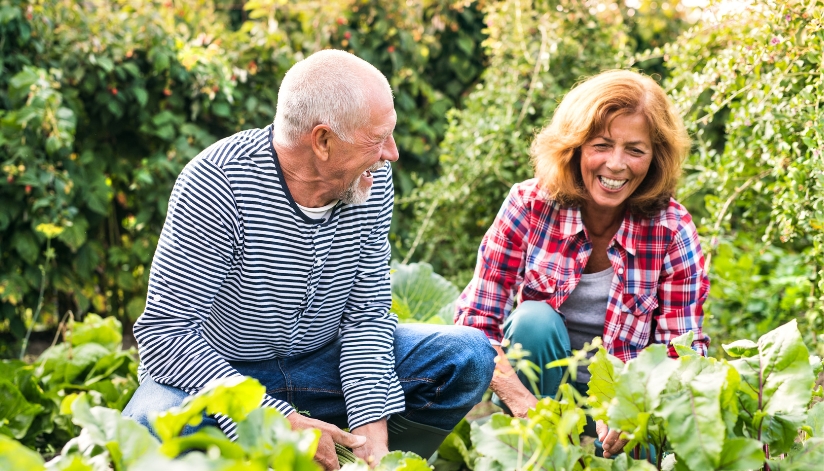 Two older adults sit outside in a garden, smiling and discussing their Medicare supplemental insurance options together.